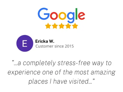 Google Review Group Tour Dreams